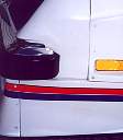 ron_lee_27.jpg